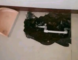 镜湖卫生间测漏水多少钱